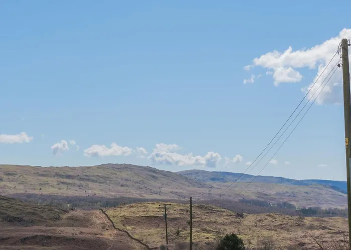 Millers Woodland Coniston Torver