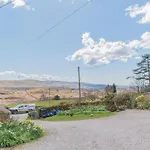 Millers Woodland Coniston * Torver