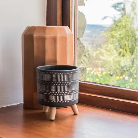 Millers Woodland Coniston